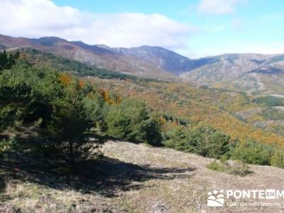 Rio lillas, Cantalejo, Parque Natural del Hayedo de Tejera Negra; senderismo con niños madrid